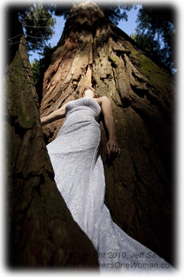 Redwood Forest One Dress One Woman One World
