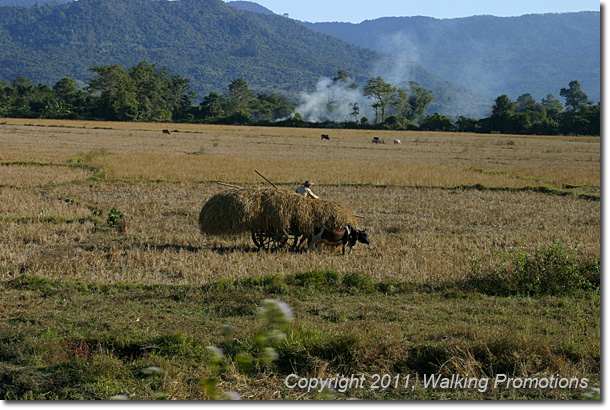 Kachin Tribal Village Trek, Train to Myitkyina, Burma