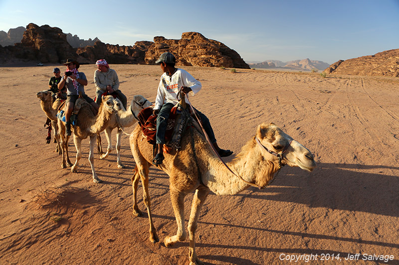 Camel Ride - Wadi Araba - Jordan